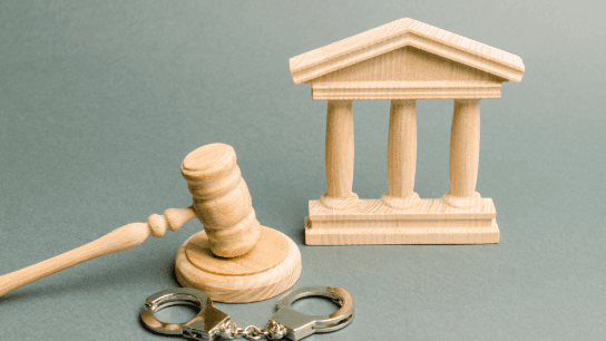 The Charter: Recent Key Criminal Cases