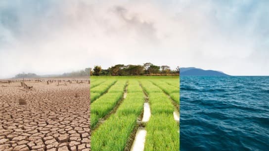 Law & Climate: Advising Clients in the Era of Climate Change
