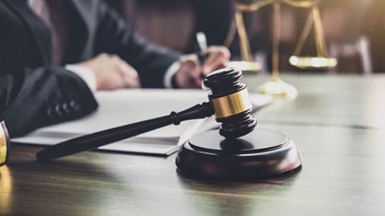 The Shape of Litigation to Come