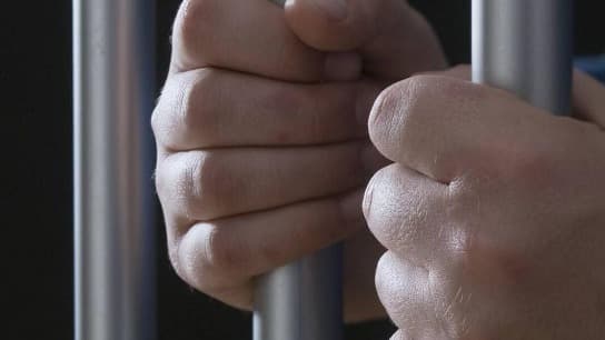 Parole, Temporary Release and Covid-19