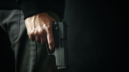 The Gun Show & Tell: Firearm Prosecutions and Classification