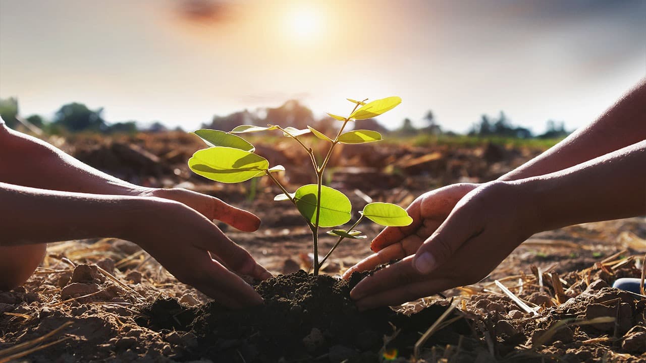 Civil Liability for Environmental Harm