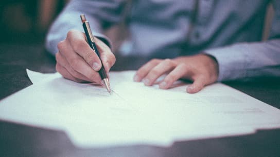 Liability, Indemnification and Insurance Clauses