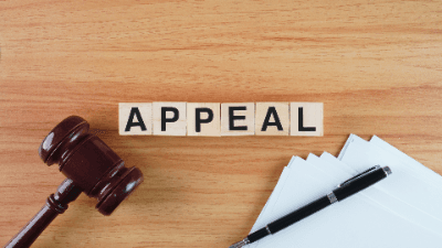 Tips for Appellate Advocacy in 2024 and Beyond