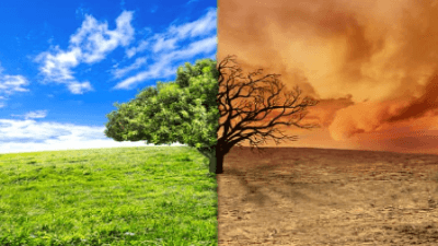 Canadian Legal Challenges in Climate Change