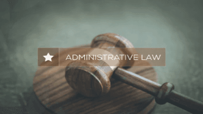 Judicial Review in Administrative Law: Trends and Challenges