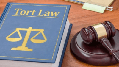 Family Violence Tort: Ethics, Myths, and Access to Justice