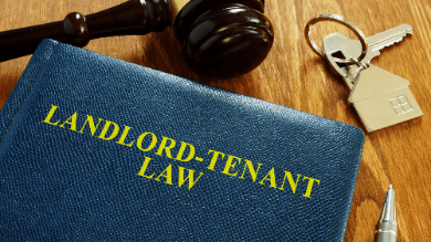 2024 Guide to Commercial Tenant Insolvencies